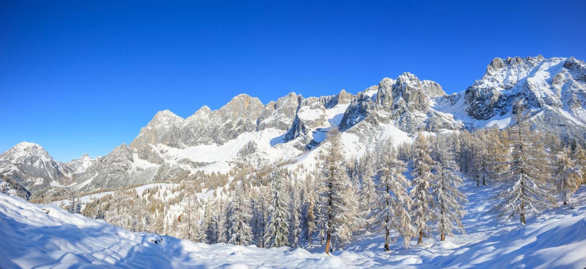 Landhaus Wieser Ramsau am Dachstein Esterno foto